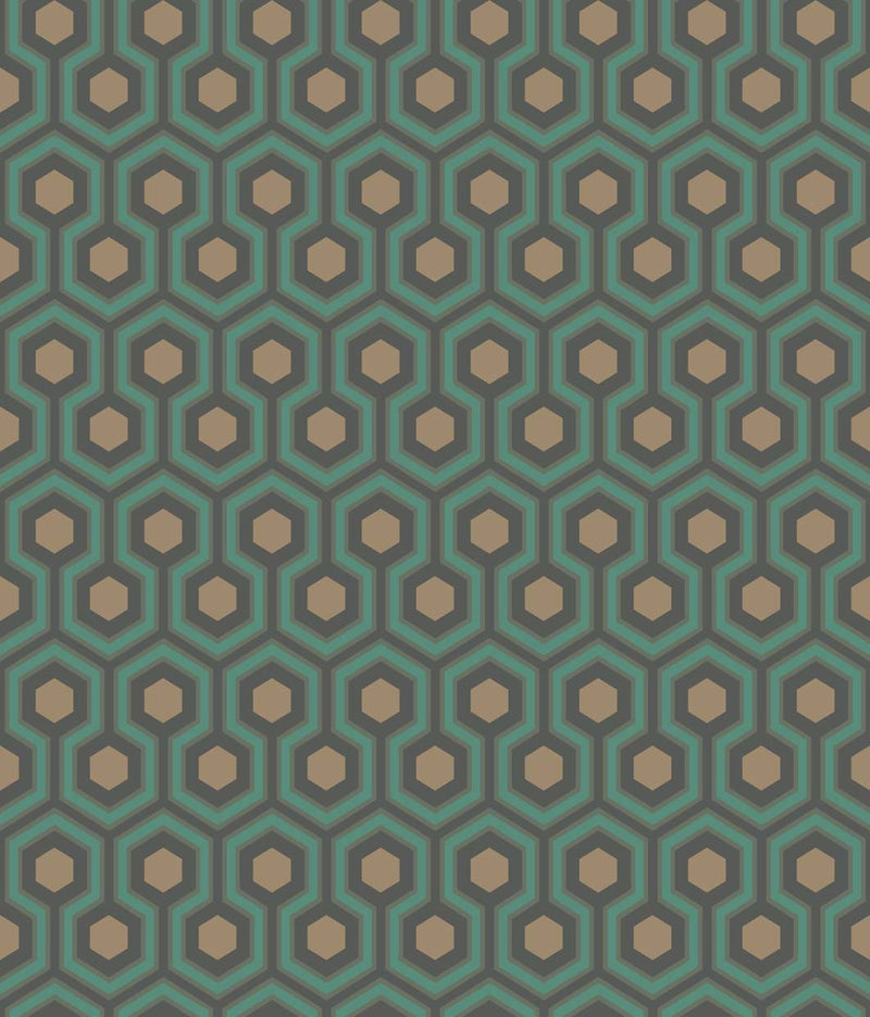 Hicks' Hexagon