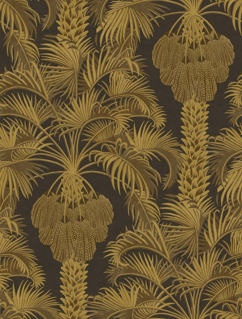Hollywood Palm