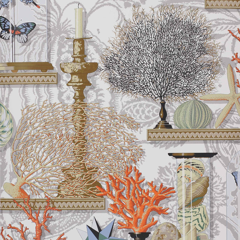 Le Cabinet de Curiosites