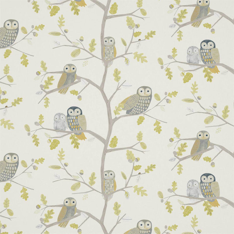 Little Owls