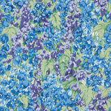 Les Delphiniums