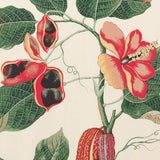 Nakai