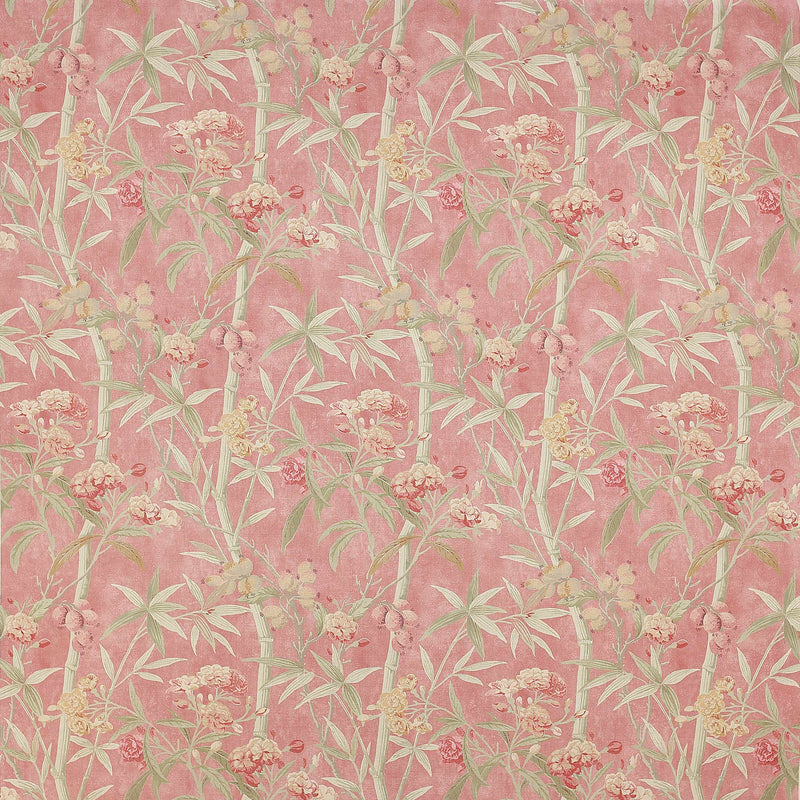 Oleander