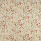 Oleander