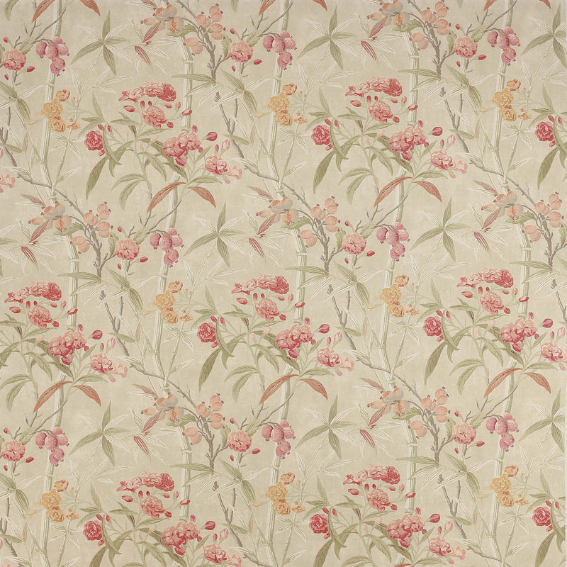 Oleander