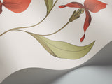 Orchid