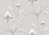 Orchid