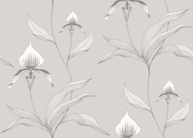 Orchid