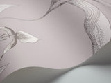 Orchid