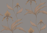 Orchid