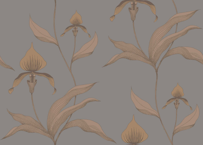 Orchid