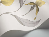 Orchid