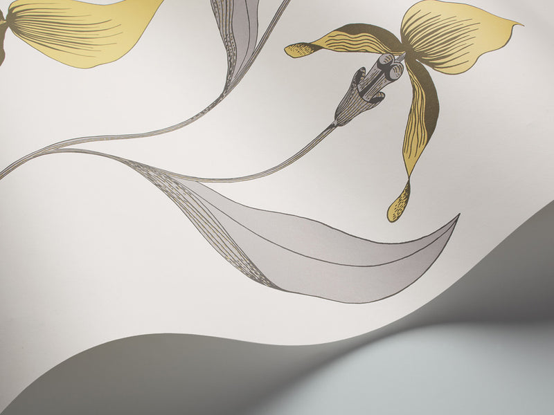 Orchid