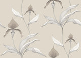 Orchid