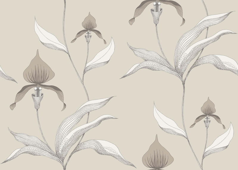 Orchid