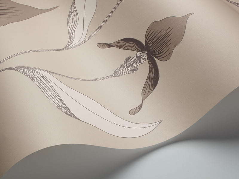 Orchid