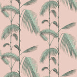Palm Leaves