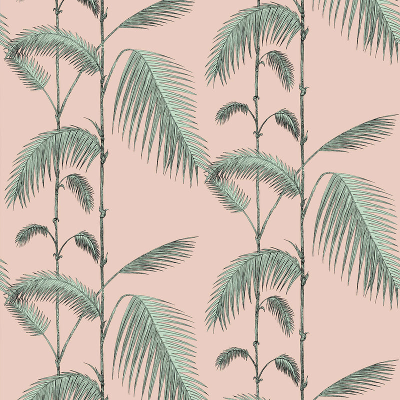 Palm Leaves