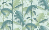 Palm Jungle