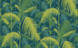 Palm Jungle