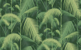 Palm Jungle