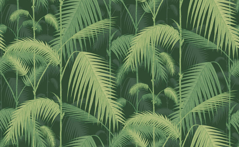 Palm Jungle