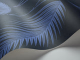 Palm Leaves