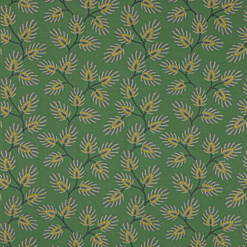Peacock Leaf