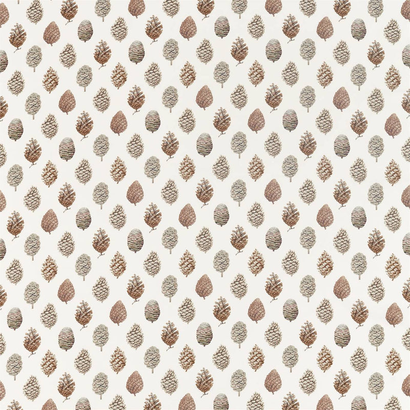 Pine Cones