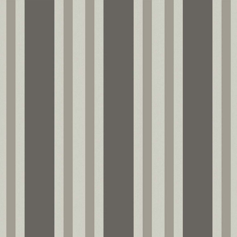 Polo Stripe
