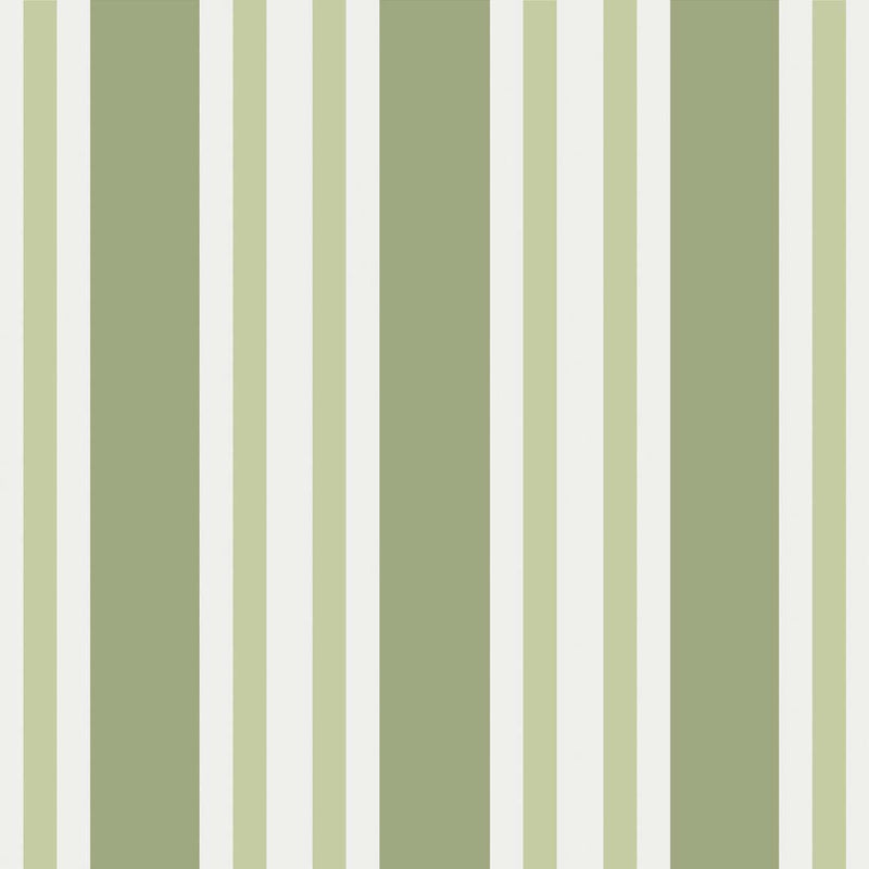 Polo Stripe