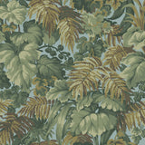 Royal Fernery