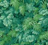 Royal Fernery