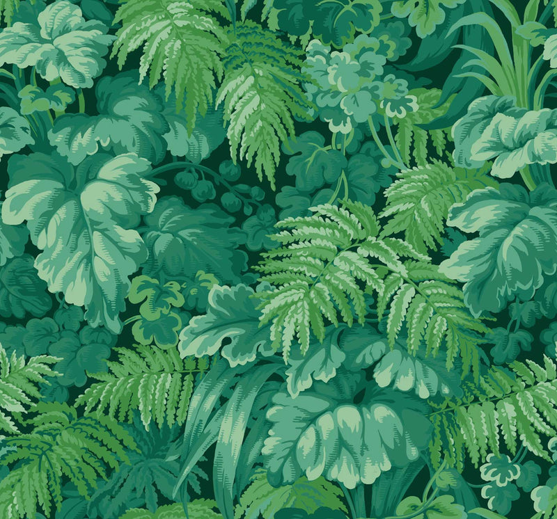Royal Fernery