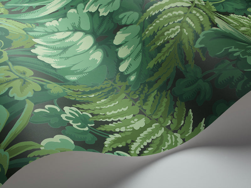 Royal Fernery