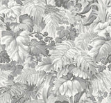 Royal Fernery