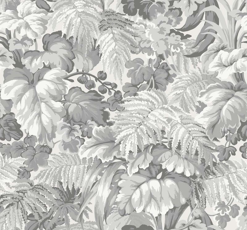 Royal Fernery