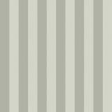 Regatta Stripe