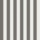 Regatta Stripe