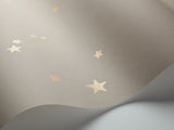 Stars