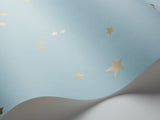 Stars