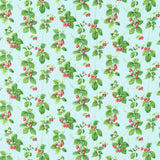 Summer Strawberries