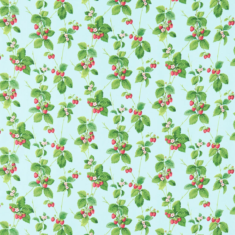 Summer Strawberries
