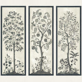Trees of Eden