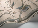 Uccelli
