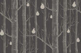 Woods and Pears