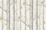 Woods and Pears