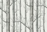 Woods