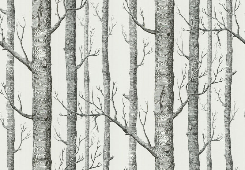 Woods