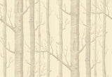 Woods